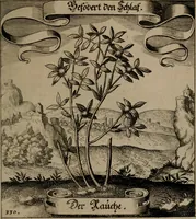 An illustration from Der Fruchtbringenden Geselschaft Nahmen, Vorhaben, Gemählde und Wörter : nach jedes Einnahme ordentlich in Kupfer gestochen, und in achtzeilige Reimgesetze verfasset (1646)