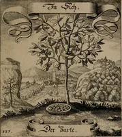 An illustration from Der Fruchtbringenden Geselschaft Nahmen, Vorhaben, Gemählde und Wörter : nach jedes Einnahme ordentlich in Kupfer gestochen, und in achtzeilige Reimgesetze verfasset (1646)