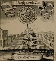 An illustration from Der Fruchtbringenden Geselschaft Nahmen, Vorhaben, Gemählde und Wörter : nach jedes Einnahme ordentlich in Kupfer gestochen, und in achtzeilige Reimgesetze verfasset (1646)