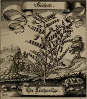 An illustration from Der Fruchtbringenden Geselschaft Nahmen, Vorhaben, Gemählde und Wörter : nach jedes Einnahme ordentlich in Kupfer gestochen, und in achtzeilige Reimgesetze verfasset (1646)