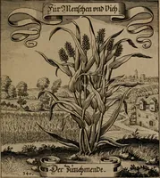 An illustration from Der Fruchtbringenden Geselschaft Nahmen, Vorhaben, Gemählde und Wörter : nach jedes Einnahme ordentlich in Kupfer gestochen, und in achtzeilige Reimgesetze verfasset (1646)