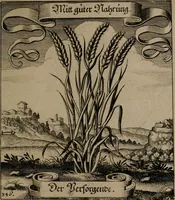 An illustration from Der Fruchtbringenden Geselschaft Nahmen, Vorhaben, Gemählde und Wörter : nach jedes Einnahme ordentlich in Kupfer gestochen, und in achtzeilige Reimgesetze verfasset (1646)
