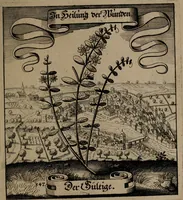 An illustration from Der Fruchtbringenden Geselschaft Nahmen, Vorhaben, Gemählde und Wörter : nach jedes Einnahme ordentlich in Kupfer gestochen, und in achtzeilige Reimgesetze verfasset (1646)