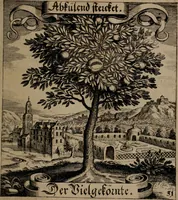 An illustration from Der Fruchtbringenden Geselschaft Nahmen, Vorhaben, Gemählde und Wörter : nach jedes Einnahme ordentlich in Kupfer gestochen, und in achtzeilige Reimgesetze verfasset (1646)