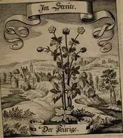 An illustration from Der Fruchtbringenden Geselschaft Nahmen, Vorhaben, Gemählde und Wörter : nach jedes Einnahme ordentlich in Kupfer gestochen, und in achtzeilige Reimgesetze verfasset (1646)