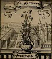 An illustration from Der Fruchtbringenden Geselschaft Nahmen, Vorhaben, Gemählde und Wörter : nach jedes Einnahme ordentlich in Kupfer gestochen, und in achtzeilige Reimgesetze verfasset (1646)
