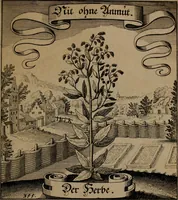 An illustration from Der Fruchtbringenden Geselschaft Nahmen, Vorhaben, Gemählde und Wörter : nach jedes Einnahme ordentlich in Kupfer gestochen, und in achtzeilige Reimgesetze verfasset (1646)