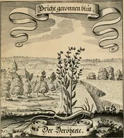 An illustration from Der Fruchtbringenden Geselschaft Nahmen, Vorhaben, Gemählde und Wörter : nach jedes Einnahme ordentlich in Kupfer gestochen, und in achtzeilige Reimgesetze verfasset (1646)