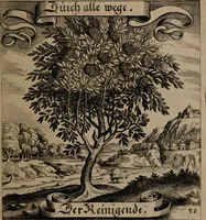 An illustration from Der Fruchtbringenden Geselschaft Nahmen, Vorhaben, Gemählde und Wörter : nach jedes Einnahme ordentlich in Kupfer gestochen, und in achtzeilige Reimgesetze verfasset (1646)