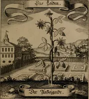 An illustration from Der Fruchtbringenden Geselschaft Nahmen, Vorhaben, Gemählde und Wörter : nach jedes Einnahme ordentlich in Kupfer gestochen, und in achtzeilige Reimgesetze verfasset (1646)