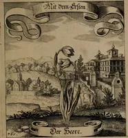 An illustration from Der Fruchtbringenden Geselschaft Nahmen, Vorhaben, Gemählde und Wörter : nach jedes Einnahme ordentlich in Kupfer gestochen, und in achtzeilige Reimgesetze verfasset (1646)