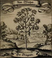 An illustration from Der Fruchtbringenden Geselschaft Nahmen, Vorhaben, Gemählde und Wörter : nach jedes Einnahme ordentlich in Kupfer gestochen, und in achtzeilige Reimgesetze verfasset (1646)