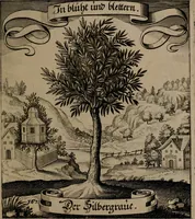 An illustration from Der Fruchtbringenden Geselschaft Nahmen, Vorhaben, Gemählde und Wörter : nach jedes Einnahme ordentlich in Kupfer gestochen, und in achtzeilige Reimgesetze verfasset (1646)