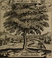 An illustration from Der Fruchtbringenden Geselschaft Nahmen, Vorhaben, Gemählde und Wörter : nach jedes Einnahme ordentlich in Kupfer gestochen, und in achtzeilige Reimgesetze verfasset (1646)