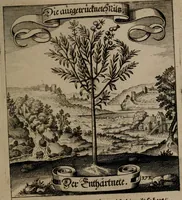 An illustration from Der Fruchtbringenden Geselschaft Nahmen, Vorhaben, Gemählde und Wörter : nach jedes Einnahme ordentlich in Kupfer gestochen, und in achtzeilige Reimgesetze verfasset (1646)