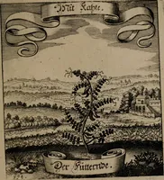 An illustration from Der Fruchtbringenden Geselschaft Nahmen, Vorhaben, Gemählde und Wörter : nach jedes Einnahme ordentlich in Kupfer gestochen, und in achtzeilige Reimgesetze verfasset (1646)