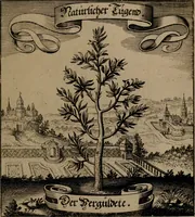 An illustration from Der Fruchtbringenden Geselschaft Nahmen, Vorhaben, Gemählde und Wörter : nach jedes Einnahme ordentlich in Kupfer gestochen, und in achtzeilige Reimgesetze verfasset (1646)
