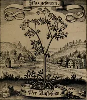 An illustration from Der Fruchtbringenden Geselschaft Nahmen, Vorhaben, Gemählde und Wörter : nach jedes Einnahme ordentlich in Kupfer gestochen, und in achtzeilige Reimgesetze verfasset (1646)