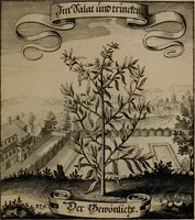 An illustration from Der Fruchtbringenden Geselschaft Nahmen, Vorhaben, Gemählde und Wörter : nach jedes Einnahme ordentlich in Kupfer gestochen, und in achtzeilige Reimgesetze verfasset (1646)