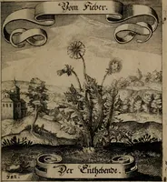 An illustration from Der Fruchtbringenden Geselschaft Nahmen, Vorhaben, Gemählde und Wörter : nach jedes Einnahme ordentlich in Kupfer gestochen, und in achtzeilige Reimgesetze verfasset (1646)