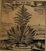 An illustration from Der Fruchtbringenden Geselschaft Nahmen, Vorhaben, Gemählde und Wörter : nach jedes Einnahme ordentlich in Kupfer gestochen, und in achtzeilige Reimgesetze verfasset (1646)