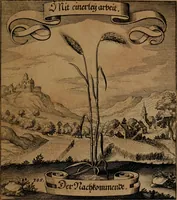 An illustration from Der Fruchtbringenden Geselschaft Nahmen, Vorhaben, Gemählde und Wörter : nach jedes Einnahme ordentlich in Kupfer gestochen, und in achtzeilige Reimgesetze verfasset (1646)