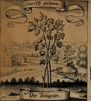 An illustration from Der Fruchtbringenden Geselschaft Nahmen, Vorhaben, Gemählde und Wörter : nach jedes Einnahme ordentlich in Kupfer gestochen, und in achtzeilige Reimgesetze verfasset (1646)