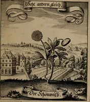 An illustration from Der Fruchtbringenden Geselschaft Nahmen, Vorhaben, Gemählde und Wörter : nach jedes Einnahme ordentlich in Kupfer gestochen, und in achtzeilige Reimgesetze verfasset (1646)