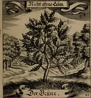 An illustration from Der Fruchtbringenden Geselschaft Nahmen, Vorhaben, Gemählde und Wörter : nach jedes Einnahme ordentlich in Kupfer gestochen, und in achtzeilige Reimgesetze verfasset (1646)
