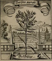 An illustration from Der Fruchtbringenden Geselschaft Nahmen, Vorhaben, Gemählde und Wörter : nach jedes Einnahme ordentlich in Kupfer gestochen, und in achtzeilige Reimgesetze verfasset (1646)