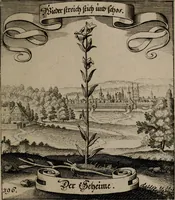 An illustration from Der Fruchtbringenden Geselschaft Nahmen, Vorhaben, Gemählde und Wörter : nach jedes Einnahme ordentlich in Kupfer gestochen, und in achtzeilige Reimgesetze verfasset (1646)