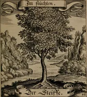 An illustration from Der Fruchtbringenden Geselschaft Nahmen, Vorhaben, Gemählde und Wörter : nach jedes Einnahme ordentlich in Kupfer gestochen, und in achtzeilige Reimgesetze verfasset (1646)