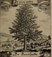 An illustration from Der Fruchtbringenden Geselschaft Nahmen, Vorhaben, Gemählde und Wörter : nach jedes Einnahme ordentlich in Kupfer gestochen, und in achtzeilige Reimgesetze verfasset (1646)