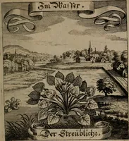 An illustration from Der Fruchtbringenden Geselschaft Nahmen, Vorhaben, Gemählde und Wörter : nach jedes Einnahme ordentlich in Kupfer gestochen, und in achtzeilige Reimgesetze verfasset (1646)