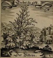 An illustration from Der Fruchtbringenden Geselschaft Nahmen, Vorhaben, Gemählde und Wörter : nach jedes Einnahme ordentlich in Kupfer gestochen, und in achtzeilige Reimgesetze verfasset (1646)