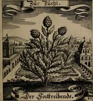 An illustration from Der Fruchtbringenden Geselschaft Nahmen, Vorhaben, Gemählde und Wörter : nach jedes Einnahme ordentlich in Kupfer gestochen, und in achtzeilige Reimgesetze verfasset (1646)