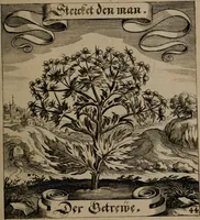 An illustration from Der Fruchtbringenden Geselschaft Nahmen, Vorhaben, Gemählde und Wörter : nach jedes Einnahme ordentlich in Kupfer gestochen, und in achtzeilige Reimgesetze verfasset (1646)