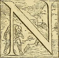An illustration from De rimedi naturali che sono nell' isola di Pithecusa : hoggi detta Ischia libri due (1588)