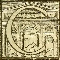 An illustration from De rimedi naturali che sono nell' isola di Pithecusa : hoggi detta Ischia libri due (1588)