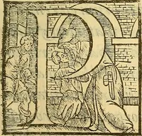 An illustration from De rimedi naturali che sono nell' isola di Pithecusa : hoggi detta Ischia libri due (1588)