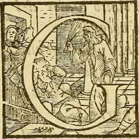 An illustration from De rimedi naturali che sono nell' isola di Pithecusa : hoggi detta Ischia libri due (1588)