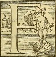 An illustration from De rimedi naturali che sono nell' isola di Pithecusa : hoggi detta Ischia libri due (1588)