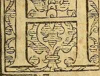 An illustration from De rimedi naturali che sono nell' isola di Pithecusa : hoggi detta Ischia libri due (1588)