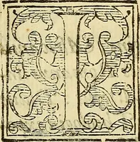 Picture 8 of 22 from De rimedi naturali che sono nell' isola di Pithecusa : hoggi detta Ischia libri due (1588), leaf 29