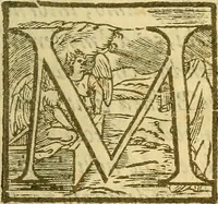 An illustration from De rimedi naturali che sono nell' isola di Pithecusa : hoggi detta Ischia libri due (1588)
