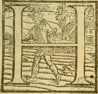 An illustration from De rimedi naturali che sono nell' isola di Pithecusa : hoggi detta Ischia libri due (1588)