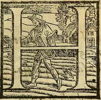 Picture 20 of 22 from De rimedi naturali che sono nell' isola di Pithecusa : hoggi detta Ischia libri due (1588), leaf 470