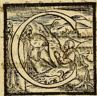 An illustration from De rimedi naturali che sono nell' isola di Pithecusa : hoggi detta Ischia libri due (1588)