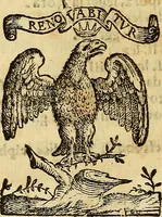 An illustration from De rimedi naturali che sono nell' isola di Pithecusa : hoggi detta Ischia libri due (1588)