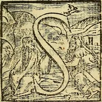 An illustration from De rimedi naturali che sono nell' isola di Pithecusa : hoggi detta Ischia libri due (1588)